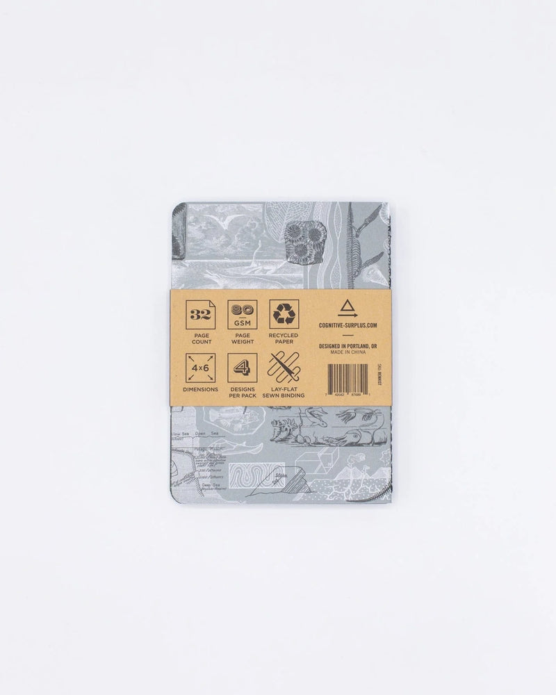 Natural History Pocket Notebook Set of 4