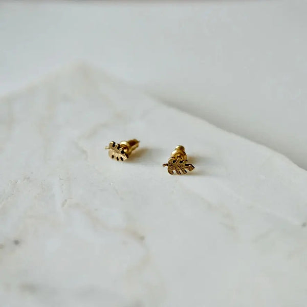 Oak Leaf Studs