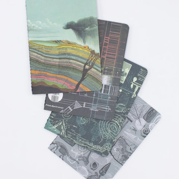 Natural History Pocket Notebook Set of 4