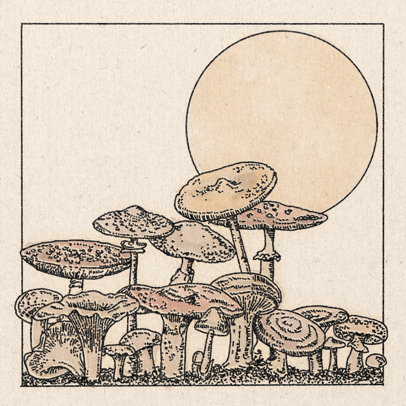 Mushroom Garden No. 2 Print