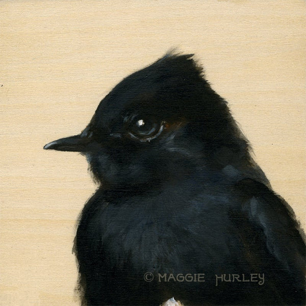 Phoebe Bird Print on Wood by Maggie Hurley