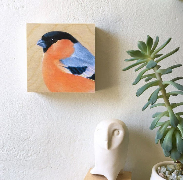 Eurasian Bullfinch Bird Print on Wood by Maggie Hurley