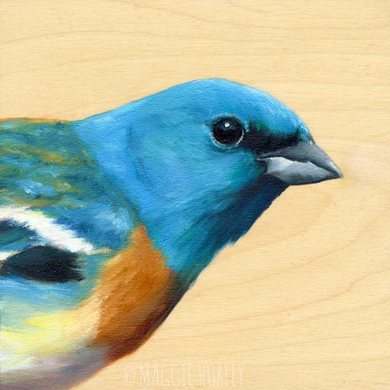 Lazuli Bunting Bird Print on Wood by Maggie Hurley